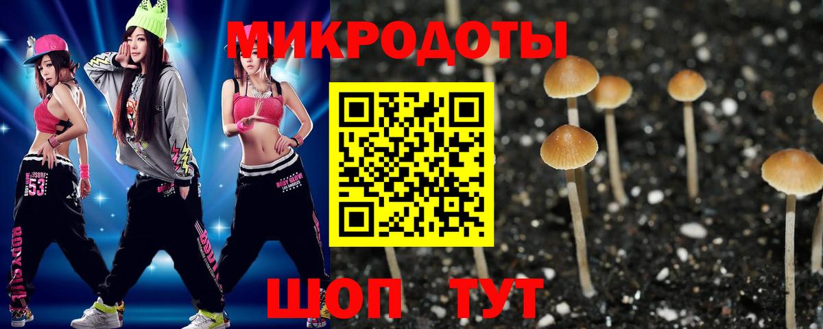 Галлюциногенные грибы GOLDEN TEACHER  Вход с VPN  Новоуральск  Псилоцибиновые грибы Magic Shrooms 