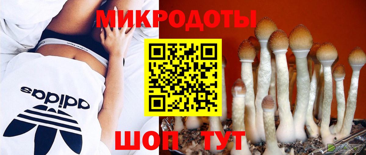 Псилоцибиновые грибы Magic Shrooms Новоуральск